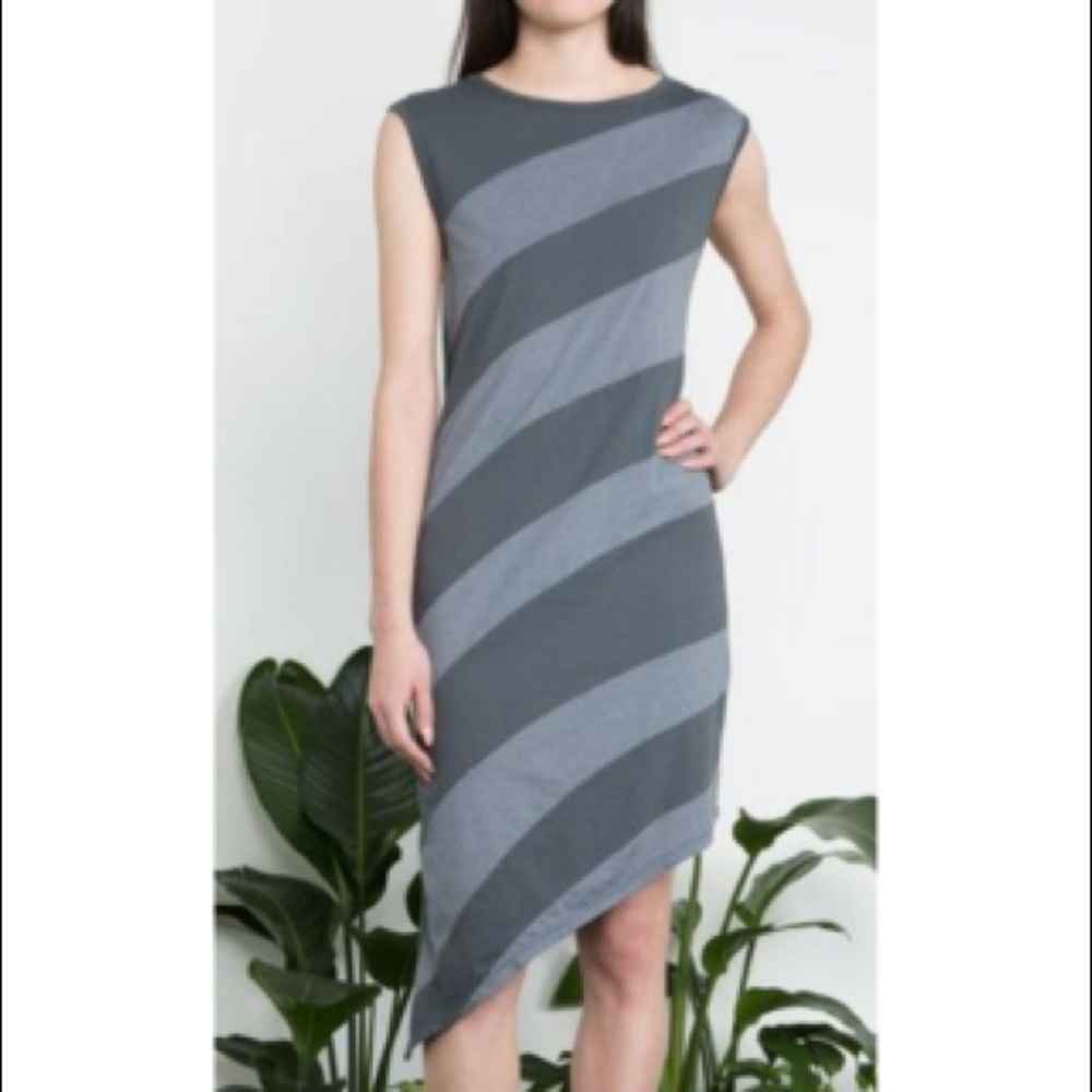 Prairie Underground Asymmetrical Hem Tiger Dress